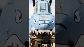 The A10 Warthog The Military’s Toughest GroundAttack Aircraft [upl. by Becca692]