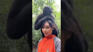 Fun with a Gibbon Lady Tries to Mimic Monkey’s Unique Voice [upl. by Volney]