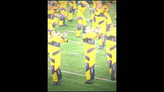 THE WOODLANDS 🐝 woodlands edit sweetlittlebumblebee electabuzz marchingband [upl. by Aleen]