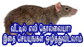 TamilTamil NattuTamil Nattu MaruthuvamTamil Siddha MaruthuvamTamil Natural MedicineSiddha [upl. by Ahiel790]