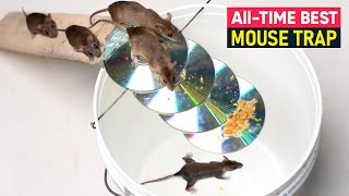 All time Best Mouse Trap Bucket  Easy Rat Trap Homemade  Best Mouse Trap [upl. by Chesnut]