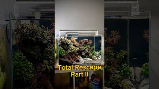 Total Rescape pt2 aquarium aquascape fishtank aquascaping fishkeeping fish [upl. by Enytsirk]