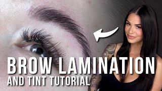 How to Do a Brow Lamination and Tint [upl. by Aryahay]