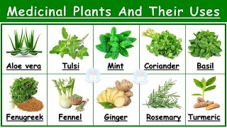 Medicinal Plants And Their Uses  25 Ayurvedic Plants Names  Medicinal Herbs  औषधीय पौधे  Plants [upl. by Afatsom581]