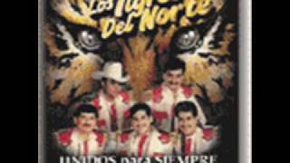 Los Tigres del Norte  Alla Nos Juntamos [upl. by Araihc122]