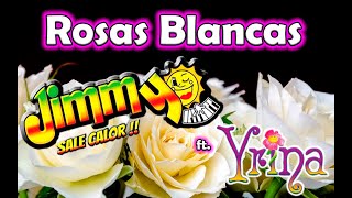 Rosas Blancas  Jimmy Sale Calor [upl. by Nelleeus]