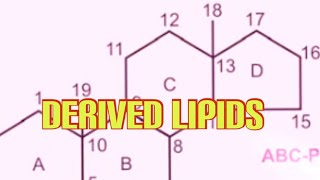 Derived Lipids Biochemistry [upl. by Aiekram557]