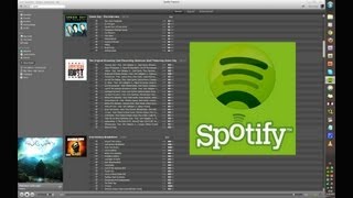 Spotify  Playlists und Ordner erstellen  deutsch [upl. by Aserehtairam]