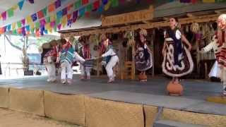 Bailables Típicos de Mexico en Michoacán [upl. by Ellerred340]