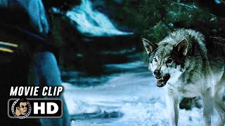 FROZEN  Attacked By Wolves 2010 Movie CLIP HD [upl. by Haret]