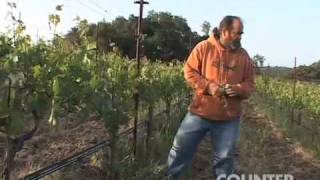 Viticulturalist Phil Coturri of Kamen Estate Vineyards [upl. by Eelrihs]