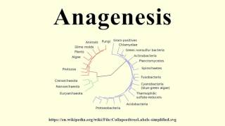 Anagenesis [upl. by Gnod]