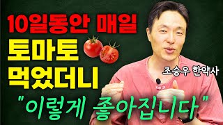 토마토를 10일동안 꾸준히 먹었더니 얼굴색부터 달라집니다조승우 한약사  토마토 복습하기 [upl. by Slayton]