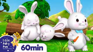 Sleeping Bunnies  LittleBabyBum  Nursery Rhymes for Babies [upl. by Farrish]