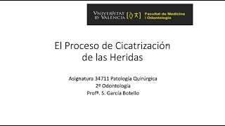 El proceso de cicatrización [upl. by Thorlay153]