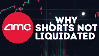 AMC STOCK UPDATE THE ONLY REASON SHORTS HAVEN’T BEEN LIQUIDATED [upl. by Lassiter]