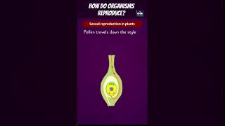 How Do Organisms Reproduce Complete Chapter🔥 in Animation Class 10th Science CH6 NCERT covered [upl. by Vitoria623]