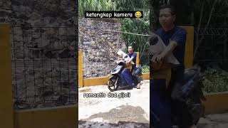 ketangkap kamera sisitv dua si Joli😂fypviralkomedilicufunny shorts [upl. by Freida]