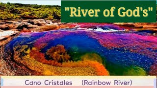 Rainbow River In Colombia Is The Most Beautiful In The World [upl. by Stoll]