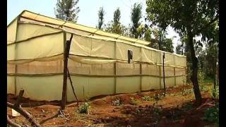 Low cost greenhouse farming [upl. by Arahsal]