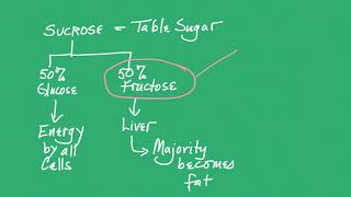 Biological Macromolecules Carbohydrates [upl. by Anehsat380]