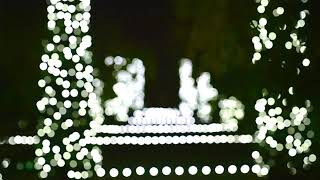 Holidays at Filoli  Garden Lights [upl. by Yahska]