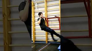 3 supinated front lever pull ups [upl. by Tesler254]