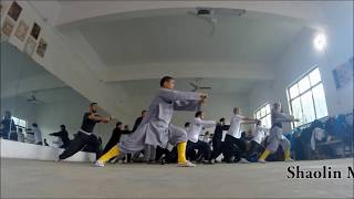 Shaolin Mizong Quan [upl. by Orual]