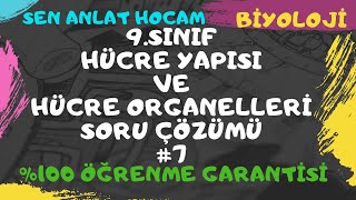 9 SINIF HÜCRE YAPISI VE HÜCRENİN ORGANELLERİ SORU ÇÖZÜMLERİ 7  TYT BİYOLOJİ  ✅ [upl. by Aikan300]