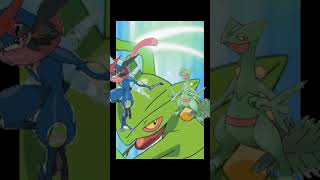 Greninja VS Sceptile [upl. by Moffat120]