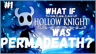 SHOWIN BUGS WHOS BOSS  IF HOLLOW KNIGHT WAS PERMADEATH  FULL PART 1 [upl. by Robenia]