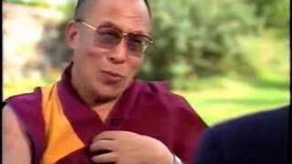 Dalai Lama kills a Mosquito [upl. by Llerahs]