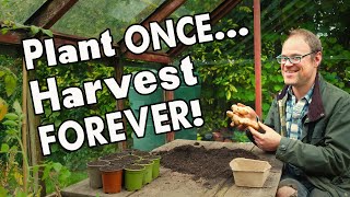 5 MustGrow Perennial Vegetables Harvest Year After Year 👩‍🌾 [upl. by Naihtsirc]