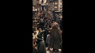 Harry visits Diagon Alley HarryPotter BackToHogwarts DiagonAlley [upl. by Elacim]