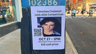 how i started the timothee chalamet lookalike contest [upl. by Talyah]