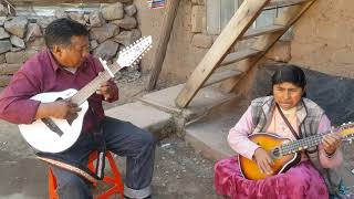 Bandurrias de Sicuani canchis hermoso como suena con  gregoria mamani y bandurrias del sur [upl. by Silvio70]