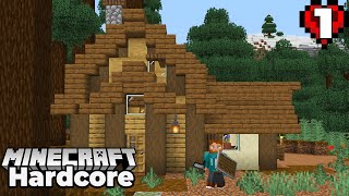 Minecraft 116 Hardcore Survival  STARTING A NEW WORLD 1 [upl. by Erek481]