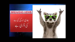 Breaking News Breaking News 👆breakingnews new pakistan pakistannews youtube newsupdate [upl. by Balac692]