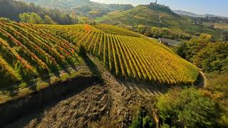 Volo FPV nelle Langhe Autunnali Castiglione Falletto Terra del Vino [upl. by Leamse]