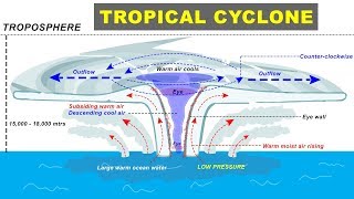 Tropical Cyclone Hurricane Storm Formation explained  Cyclone Biparjay in Arabian Sea Gujarat [upl. by Barty325]