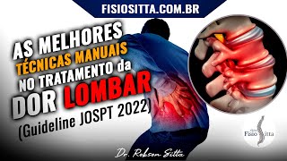 DOR LOMBAR AGUDA e CRÔNICA A PRÁTICA BASEADA EM EVIDÊNCIAS CIENTÍFICAS Fisioterapia Dr Robson Sitta [upl. by Dranyer]