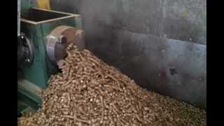 12mm straw pellets from BT60 briquetting press for chickens horses rabbits animals fish poultry [upl. by Cory974]