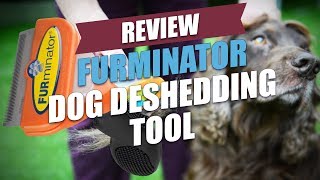 FURminator Dog Deshedding Tool Review 2018 [upl. by Vickie]