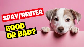 Spaying and Neutering Dogs Good or Bad [upl. by Myrtice388]