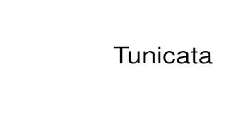 How to pronounce Tunicata [upl. by Nedac694]