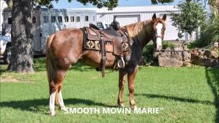 SMOOTH MOVIN MARIE 2013 Mare by Smooth As A Cat [upl. by Gianina180]