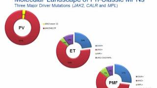 Myeloproliferative Neoplasm Hot Topic [upl. by Aramoiz]