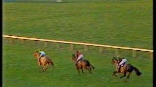 1988 Coral Golden Handicap Hurdle Qualifier [upl. by Ymmaj621]