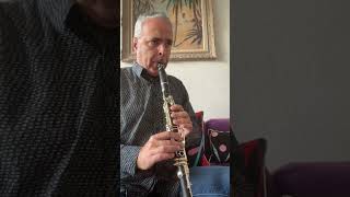 Final ornament of Petronella Clarinet B♭ Selmer lygeros music interpretation clarinet learn [upl. by Naruq]