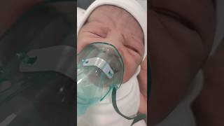 baby Nebulization in NICU baby shorts viral cute youtubeshorts nebulize [upl. by Winonah]